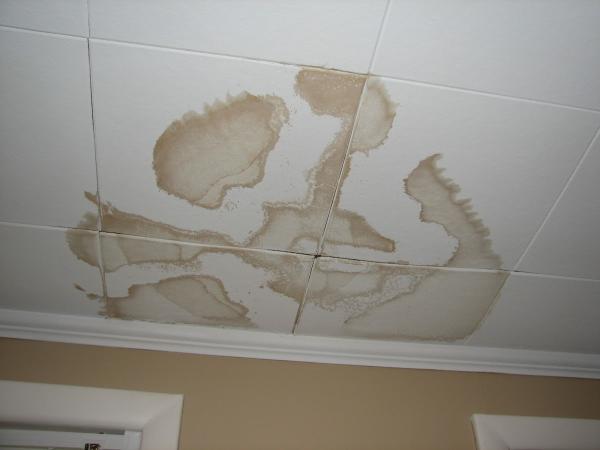Safety 1st Home Inspection