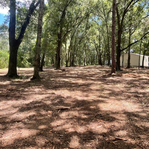 Fitzgerald Land and Tree Works