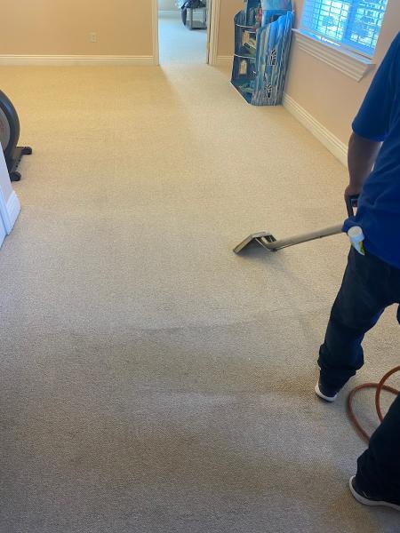 Steampro Carpet Cleaning