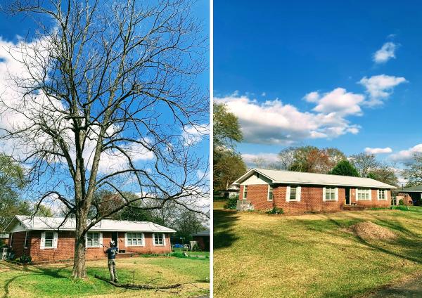 Keene Tree Service