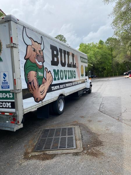 Bull Moving
