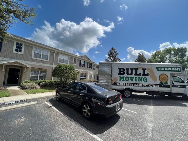 Bull Moving