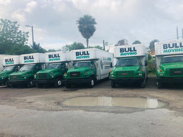 Bull Moving