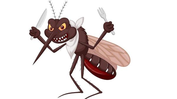 Above & Beyond Pest & Wildlife Management