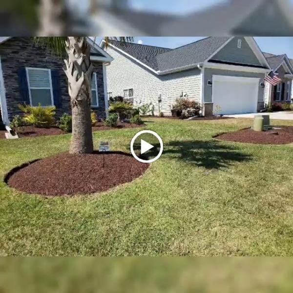 Quiet Lawn & Pest