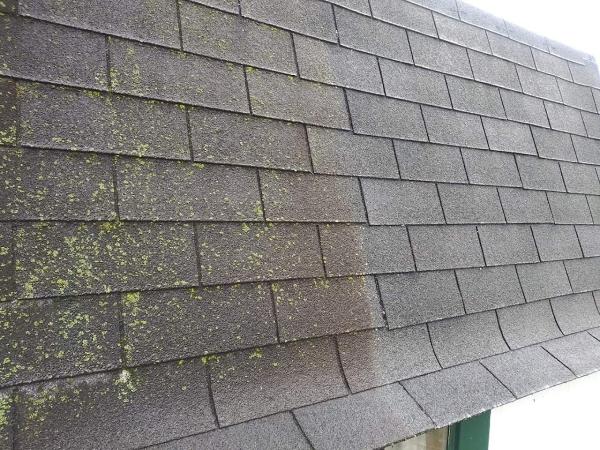 Mick's Exterior Cleaning Services