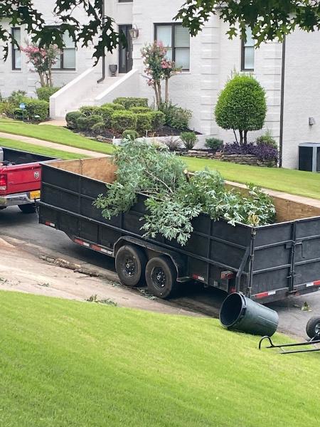 A&V Tree Service