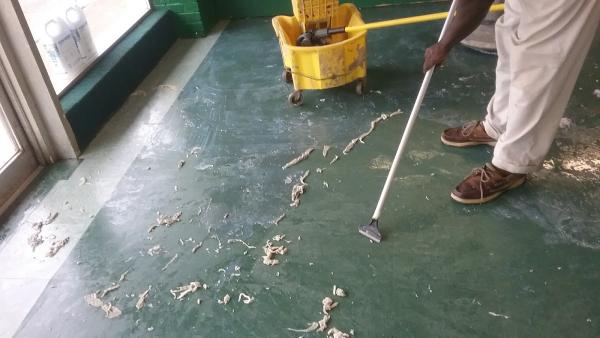 Neal's Carpet & Upholstery Cleaning