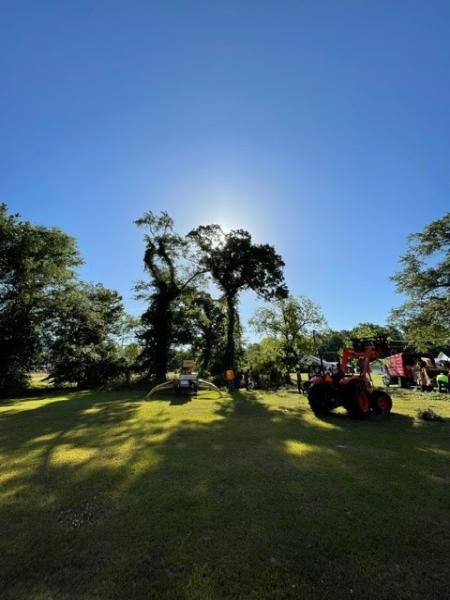 Pamlico Tree Care