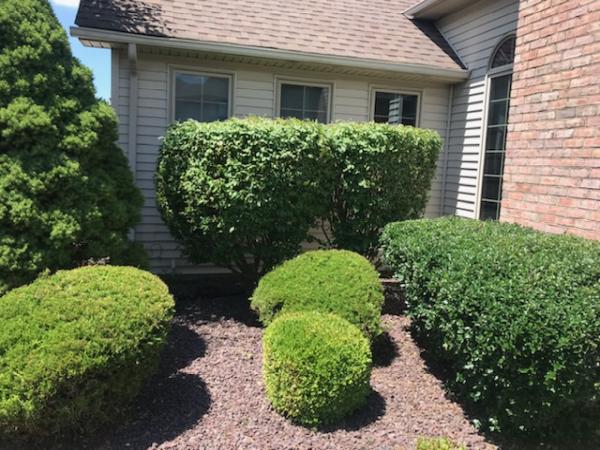 TW Landscaping & Grass Cutting