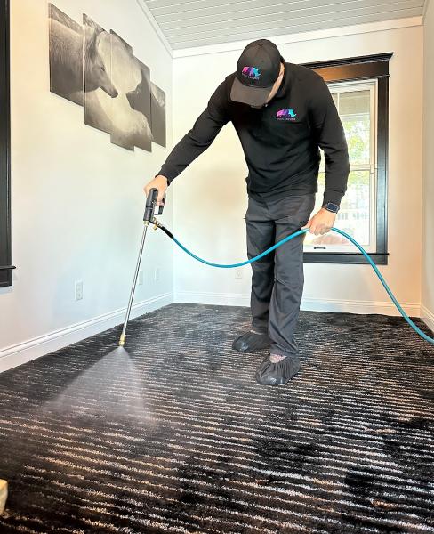 Rhino Service Carpet & Upholstery Cleaning