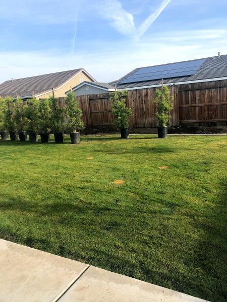 Fuentes Landscaping Garden