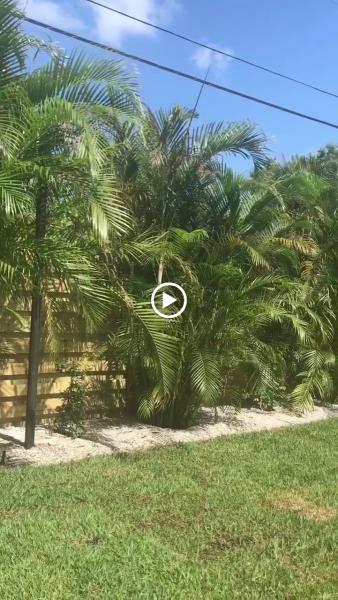 Costa Key