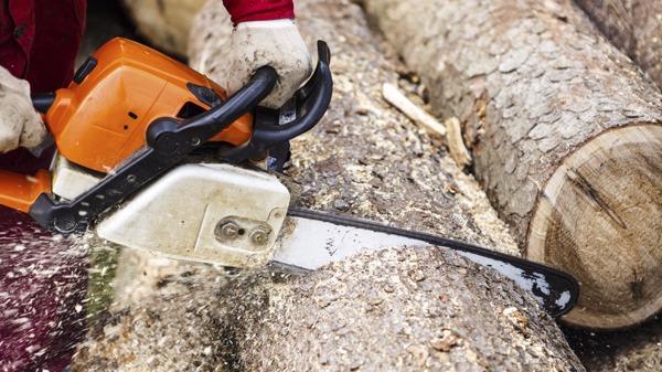 Pittsburgh Lumberjack Tree Service