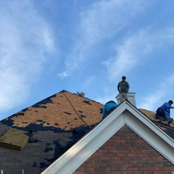 Praus Construction