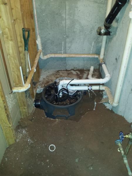 Dna Plumbing