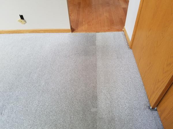Fiber Fresh Carpet Cleaning