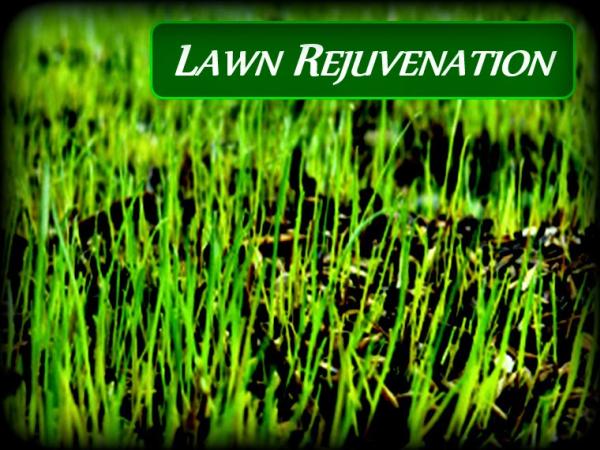 Jon's Lawns
