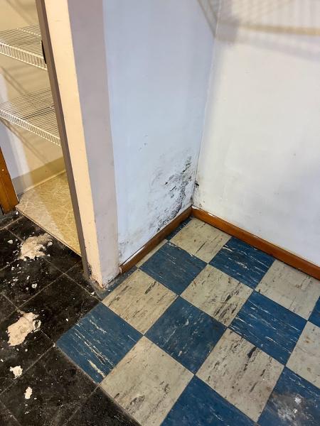 Neighborhood Home Inspections