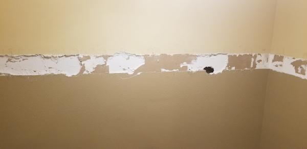 Automated Drywall Service (Ads Drywall)