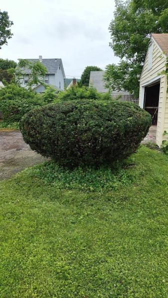 Fresh Dressed Lawn Care LLC