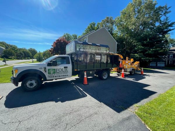 Four Brothers Tree & Landscaping