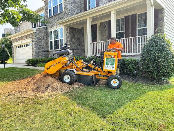 Four Brothers Tree & Landscaping