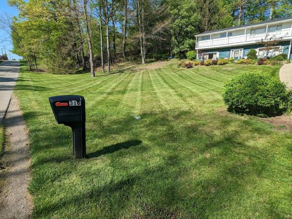 Moore's Lawncare/Handy-Man/Cleaning Services