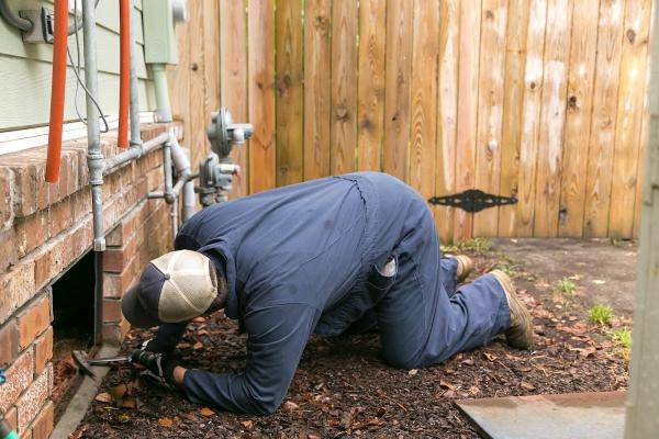 Ledford's Termite & Pest Control