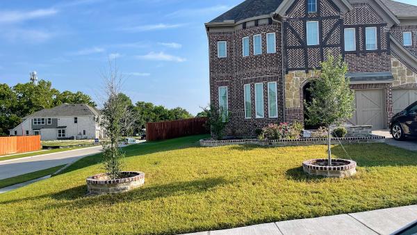Pristine Landscaping & Lighting