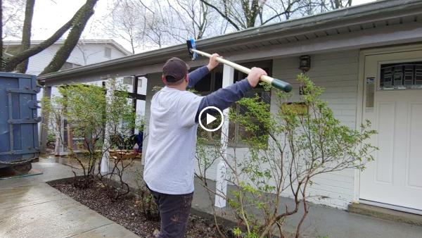 Brush and Bristle Pressure Washing
