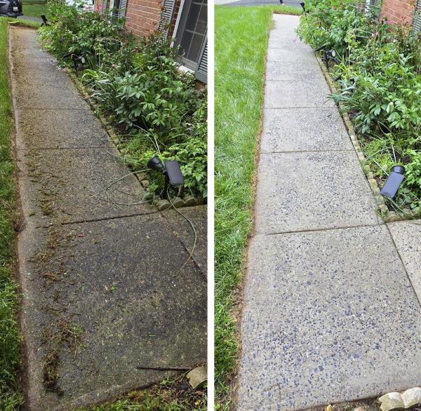 Brush and Bristle Pressure Washing