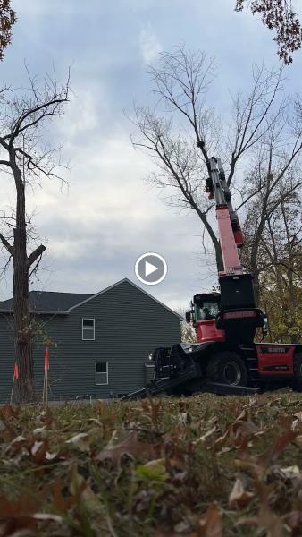 Lefke Tree Experts