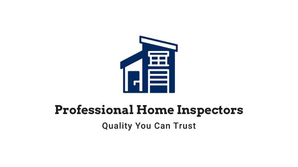 Professional Home Inspectors