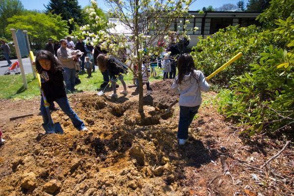 Goshen Tree Care