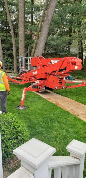 B 1 Tree Service