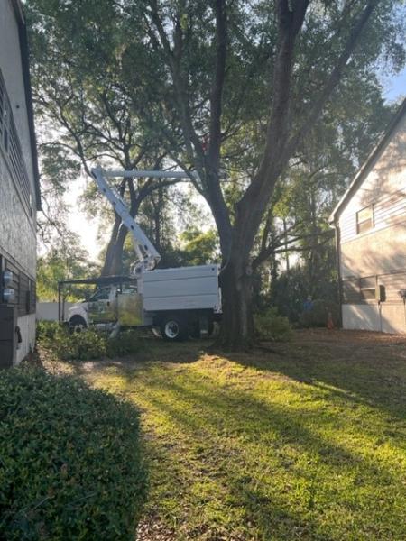 Nature Coast Landscape Services LLC