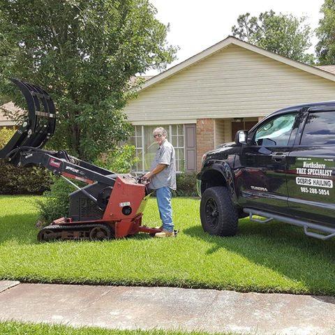 Northshore Tree Specialist
