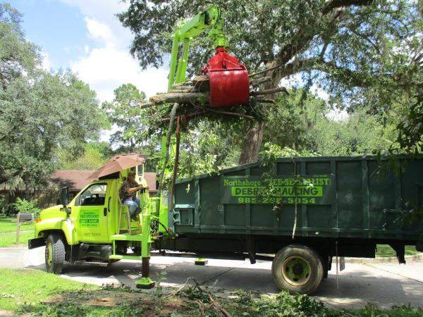 Northshore Tree Specialist