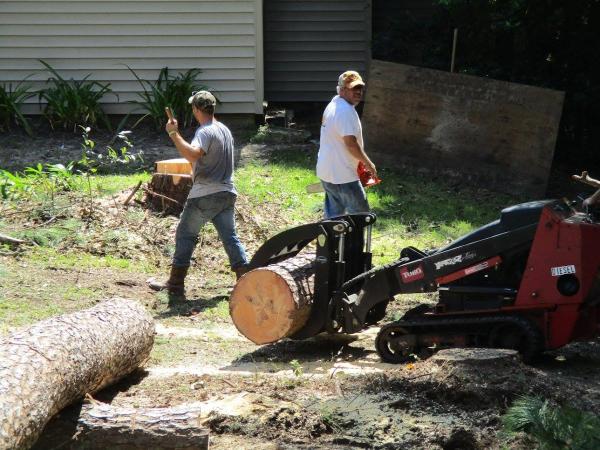 Northshore Tree Specialist
