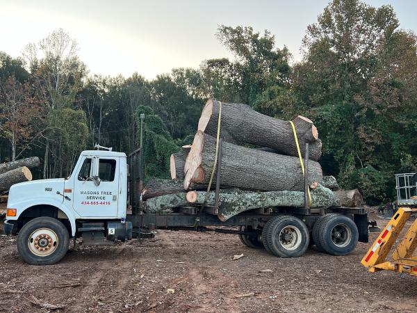 Mason's Tree Service