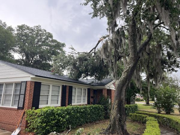 Eagerton Tree Service