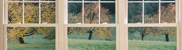 Windows