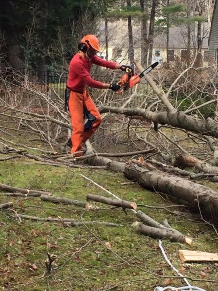 Scott Harrington Landscape and Tree Service