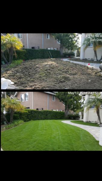 Tinh's Lawn Care and Irrigation