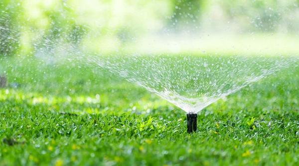 Tinh's Lawn Care and Irrigation