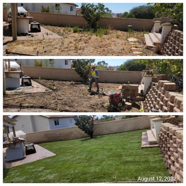 Tinh's Lawn Care and Irrigation
