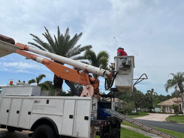 Brevard All Season Lawn Care