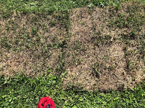 Brevard All Season Lawn Care