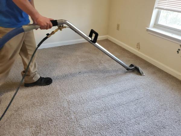 Clean Free Carpet Cleaning